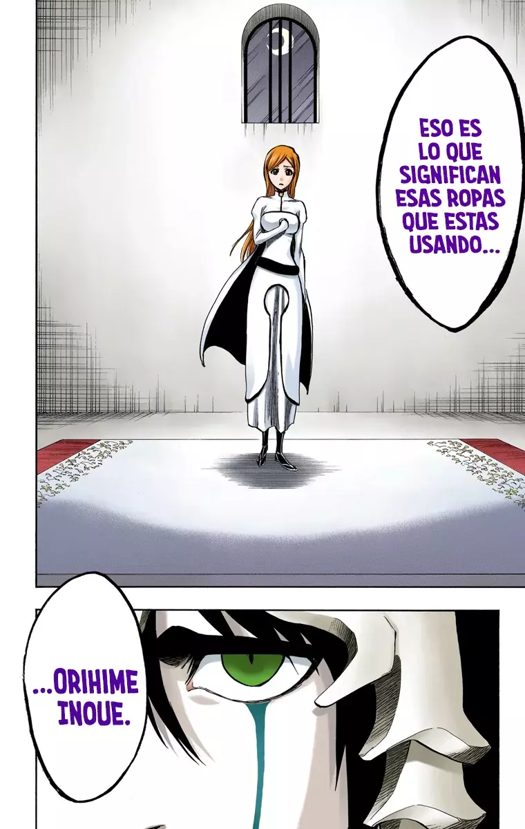 Read Bleach Full Color ES Manga Online
