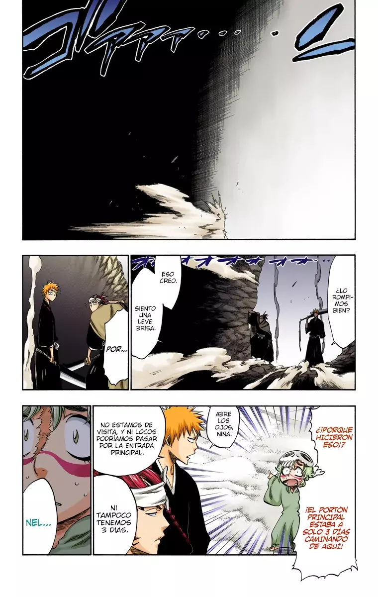 Read Bleach Full Color ES Manga Online