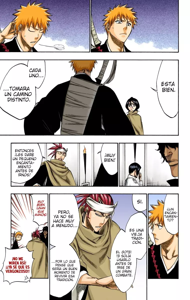 Read Bleach Full Color ES Manga Online