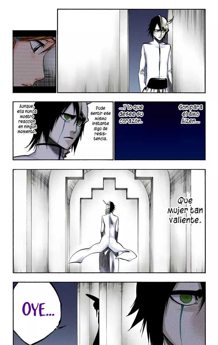 Read Bleach Full Color ES Manga Online