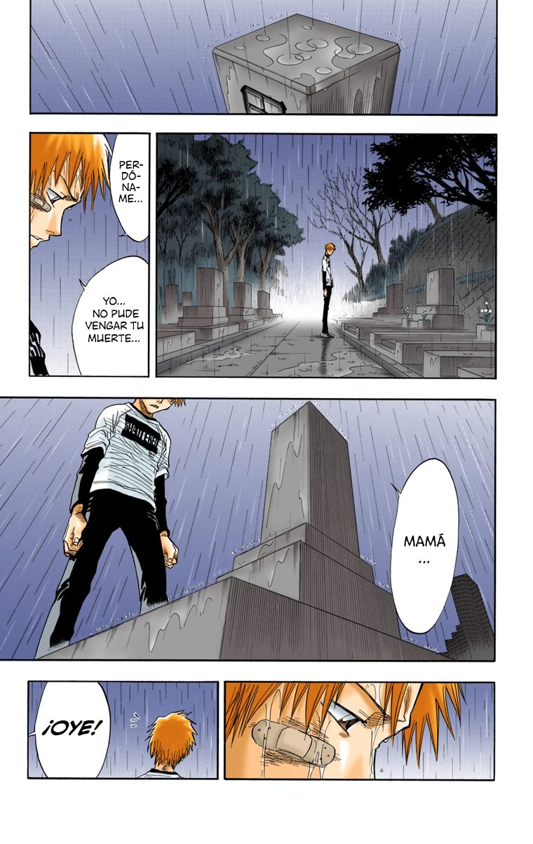 Read Bleach Full Color ES Manga Online