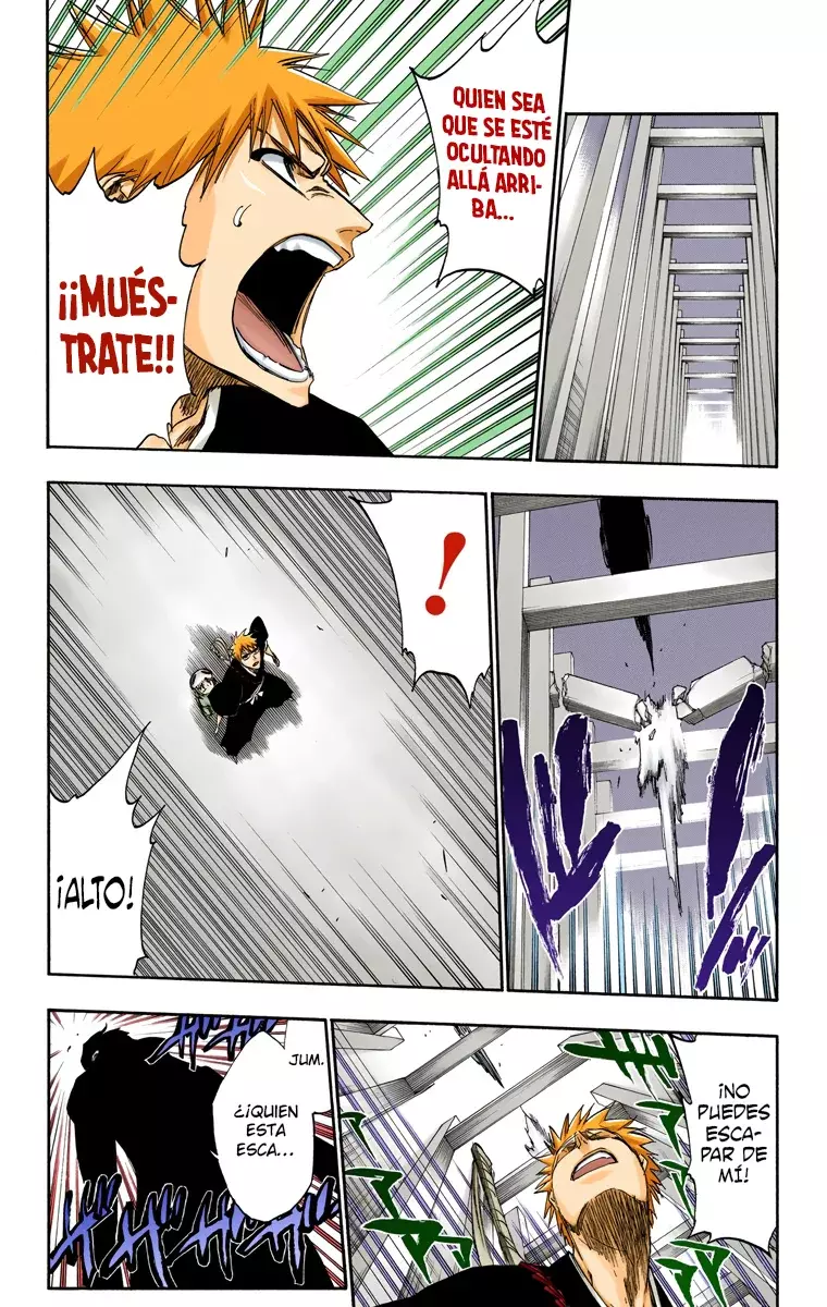 Read Bleach Full Color ES Manga Online