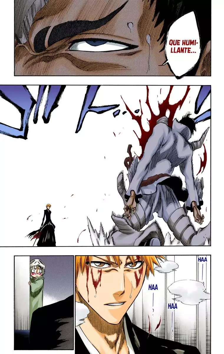 Read Bleach Full Color ES Manga Online