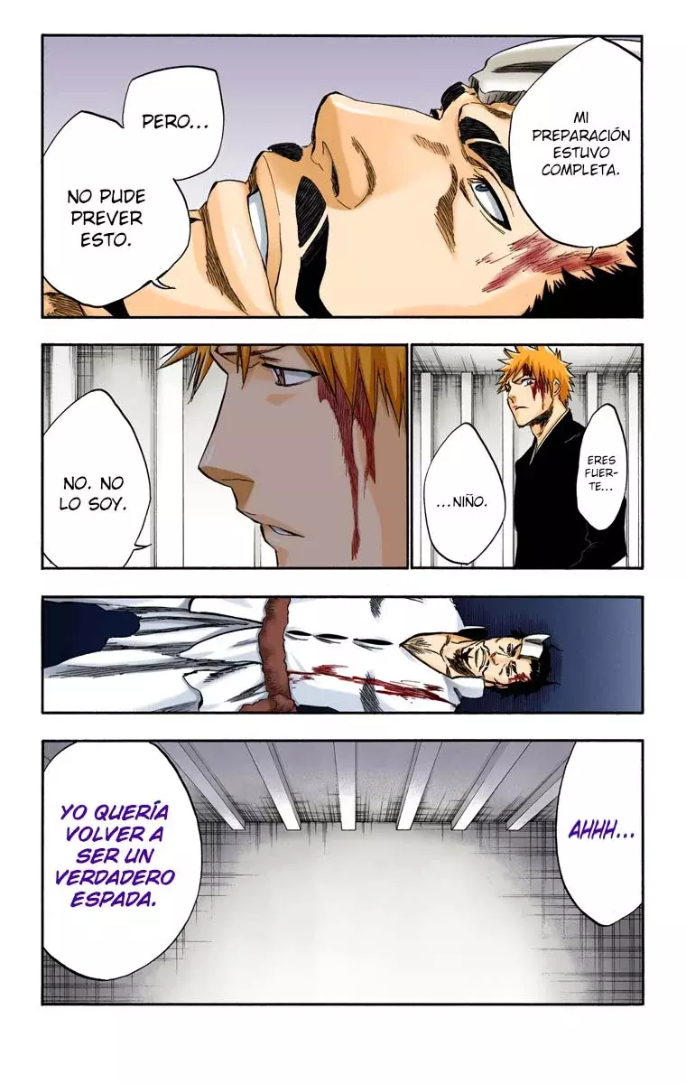Read Bleach Full Color ES Manga Online