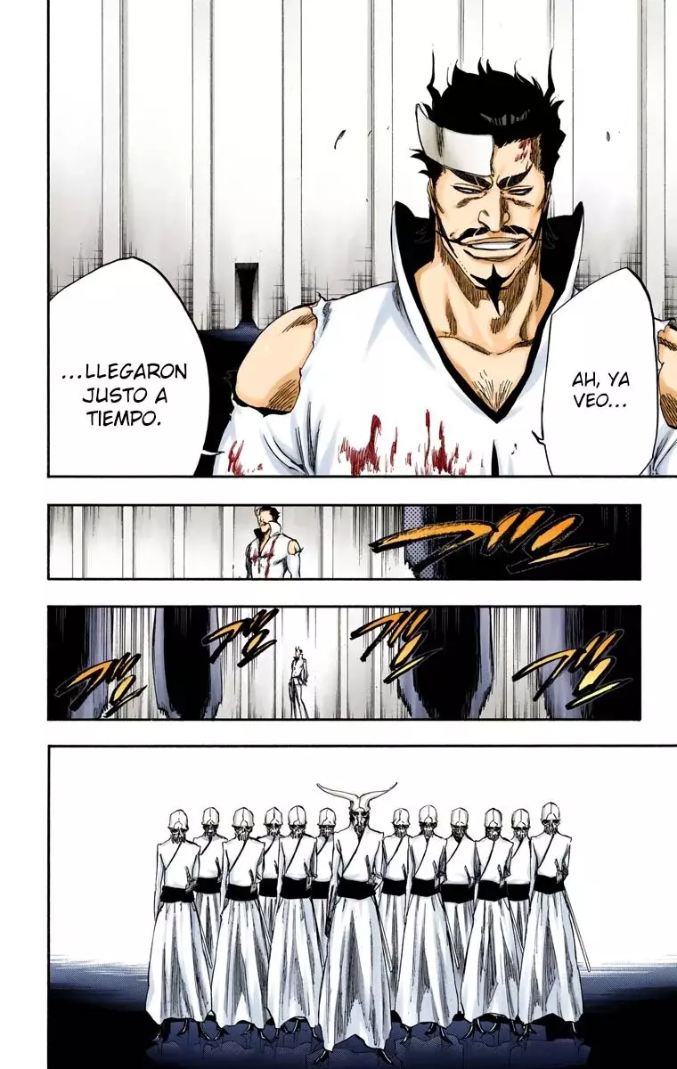 Read Bleach Full Color ES Manga Online
