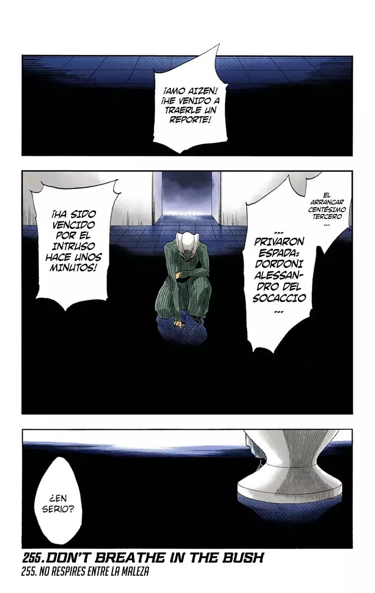 Read Bleach Full Color ES Manga Online