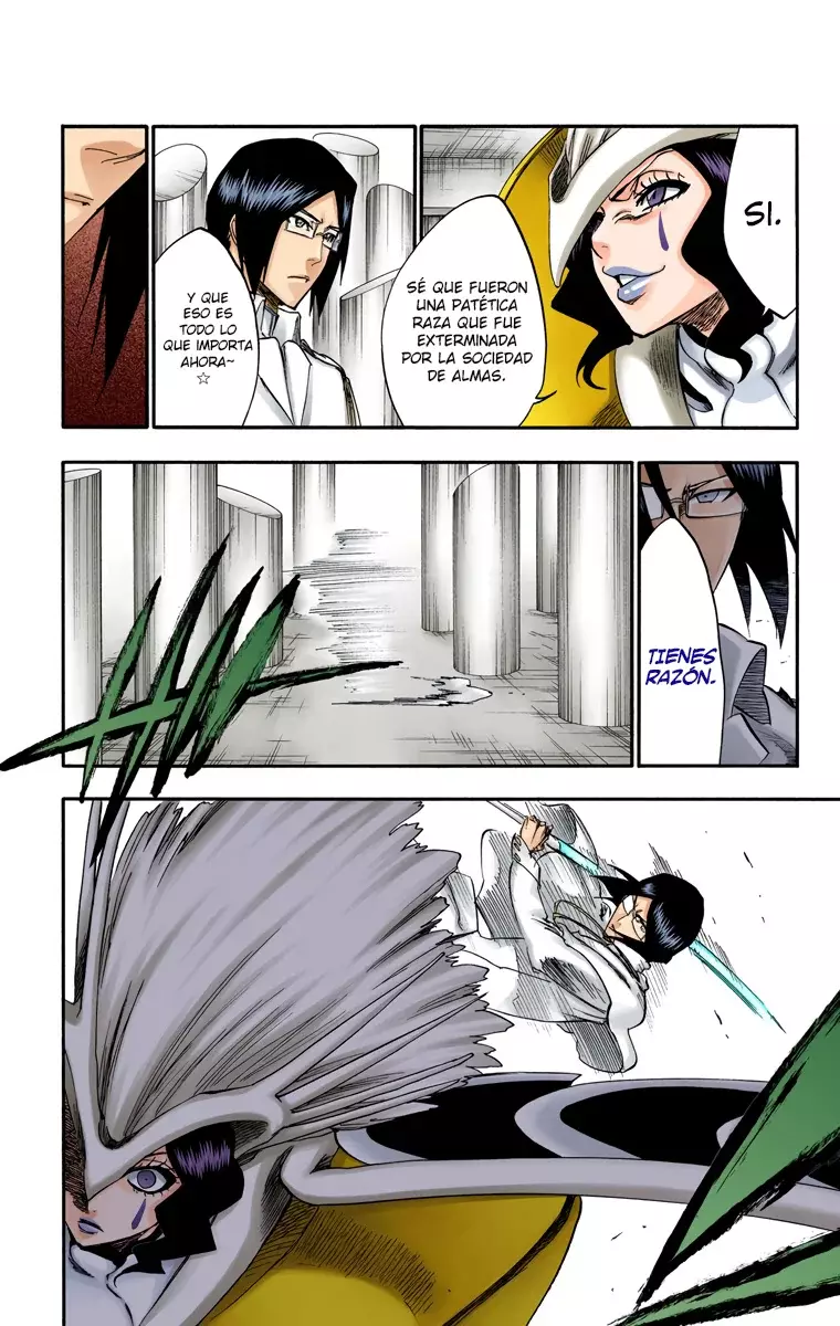 Read Bleach Full Color ES Manga Online