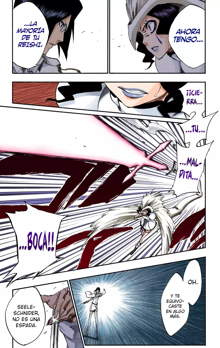 Read Bleach Full Color ES Manga Online