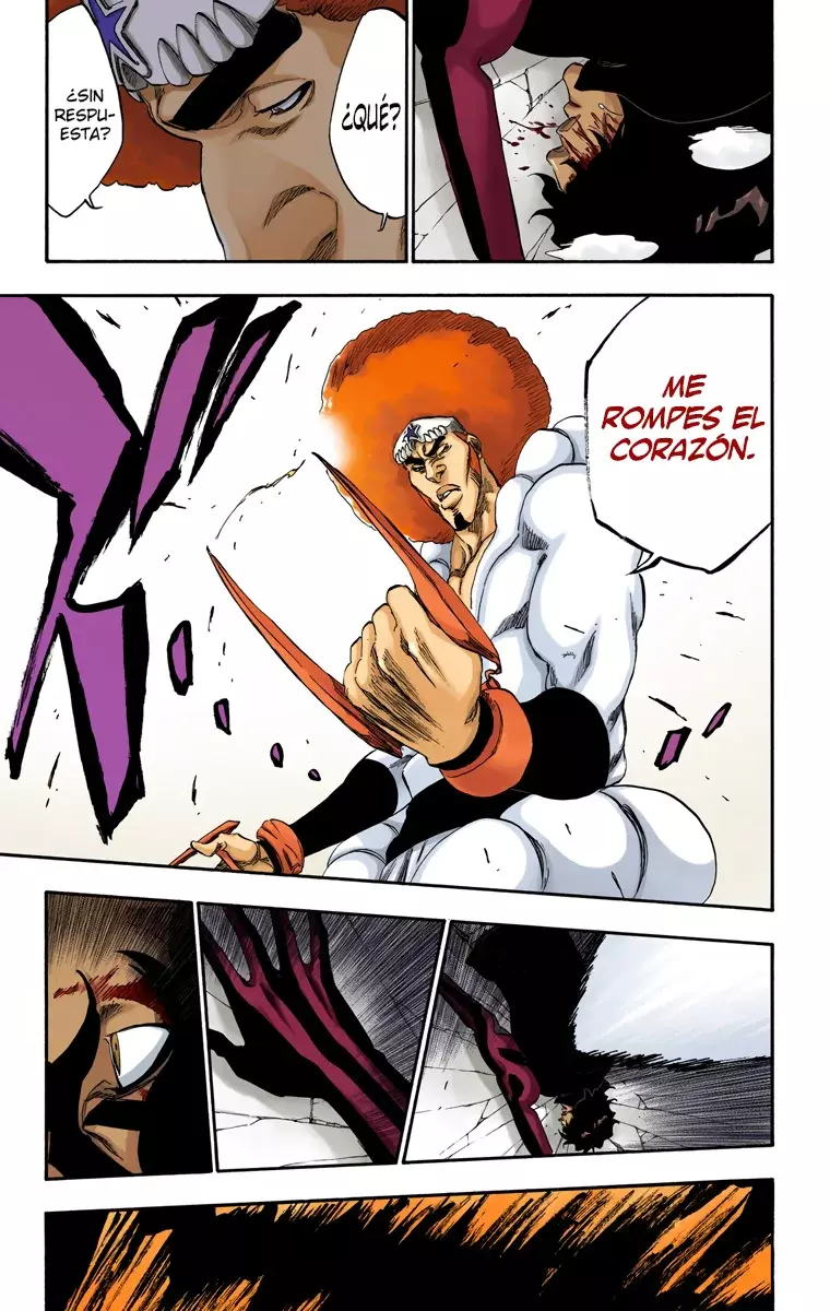 Read Bleach Full Color ES Manga Online