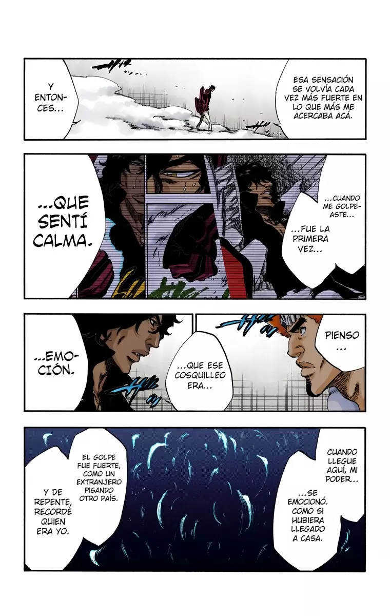 Read Bleach Full Color ES Manga Online