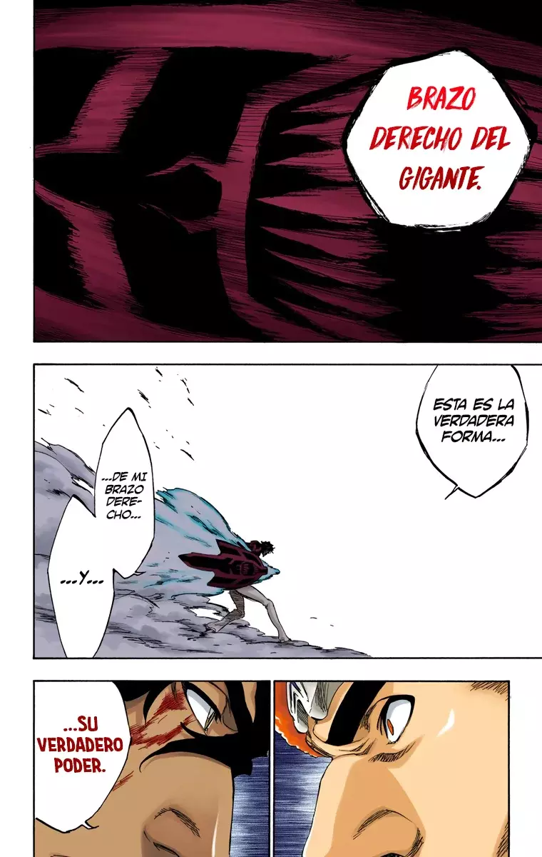 Read Bleach Full Color ES Manga Online