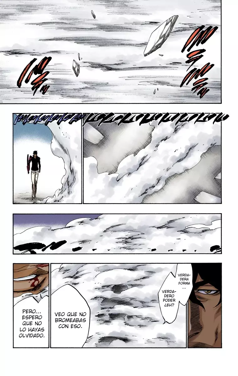 Read Bleach Full Color ES Manga Online