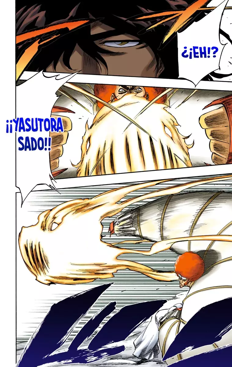 Read Bleach Full Color ES Manga Online