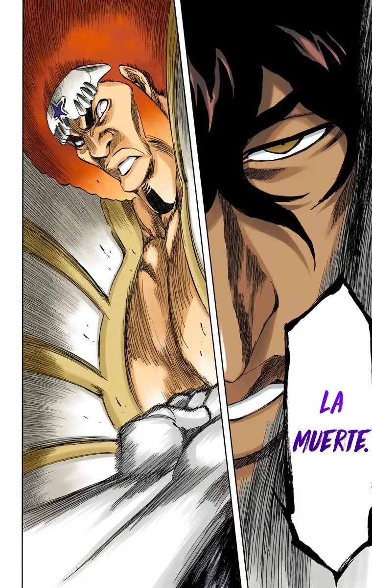 Read Bleach Full Color ES Manga Online
