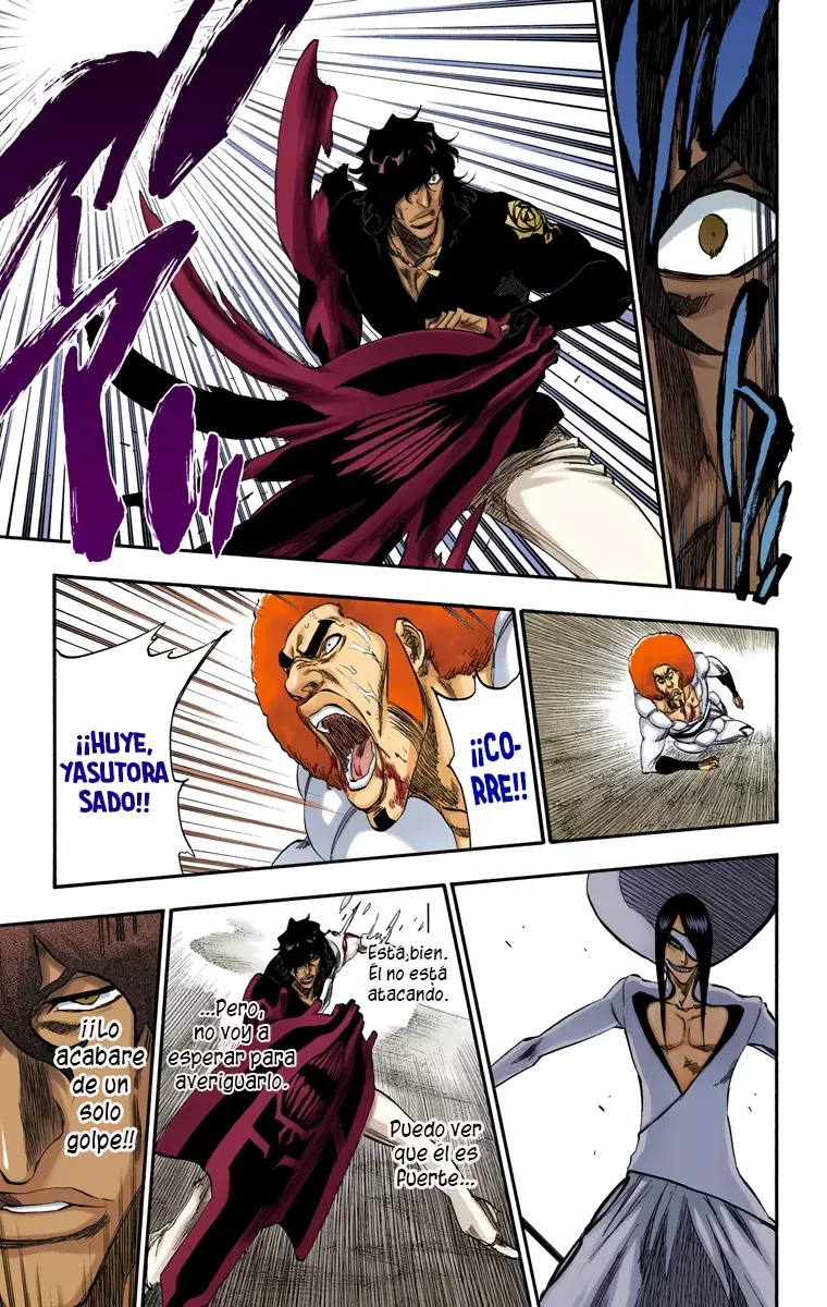 Read Bleach Full Color ES Manga Online