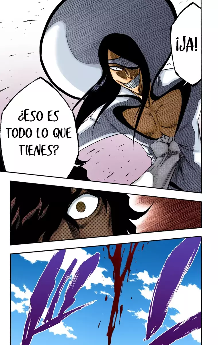 Read Bleach Full Color ES Manga Online