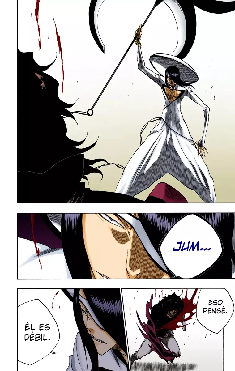 Read Bleach Full Color ES Manga Online