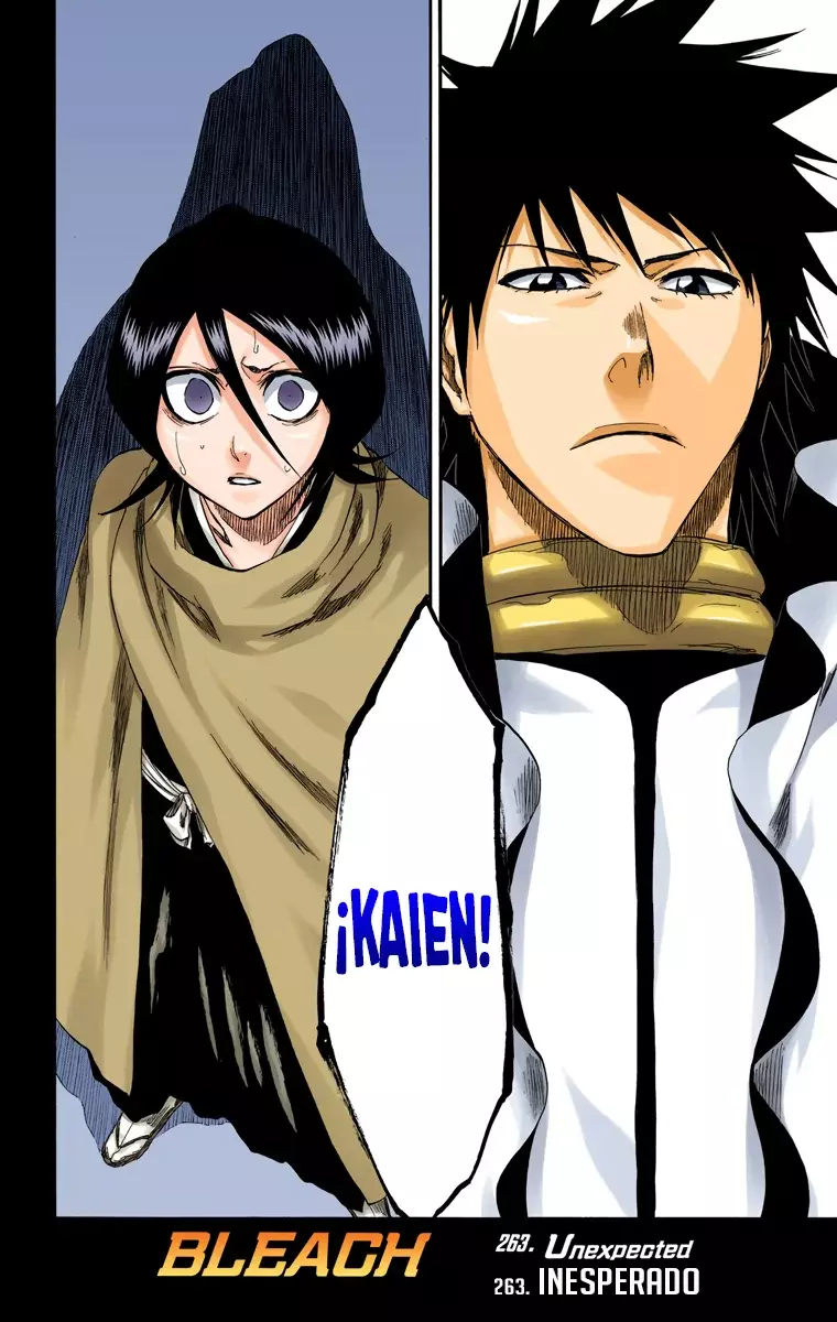 Read Bleach Full Color ES Manga Online