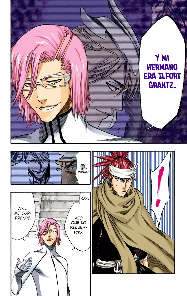 Read Bleach Full Color ES Manga Online