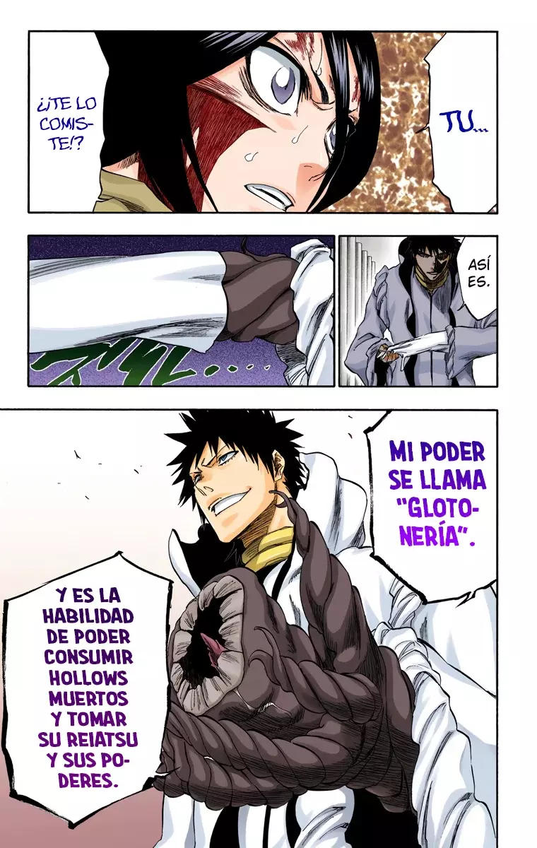 Read Bleach Full Color ES Manga Online