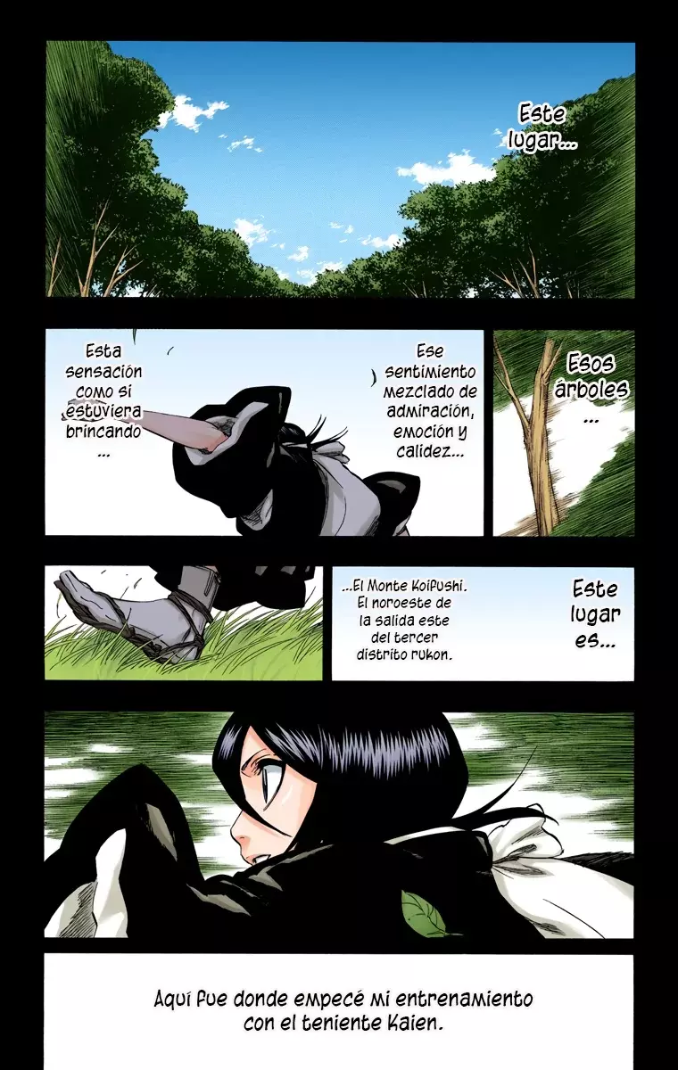 Read Bleach Full Color ES Manga Online