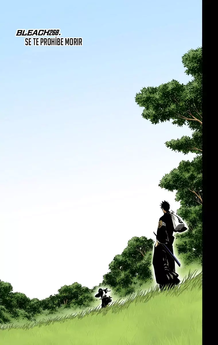 Read Bleach Full Color ES Manga Online