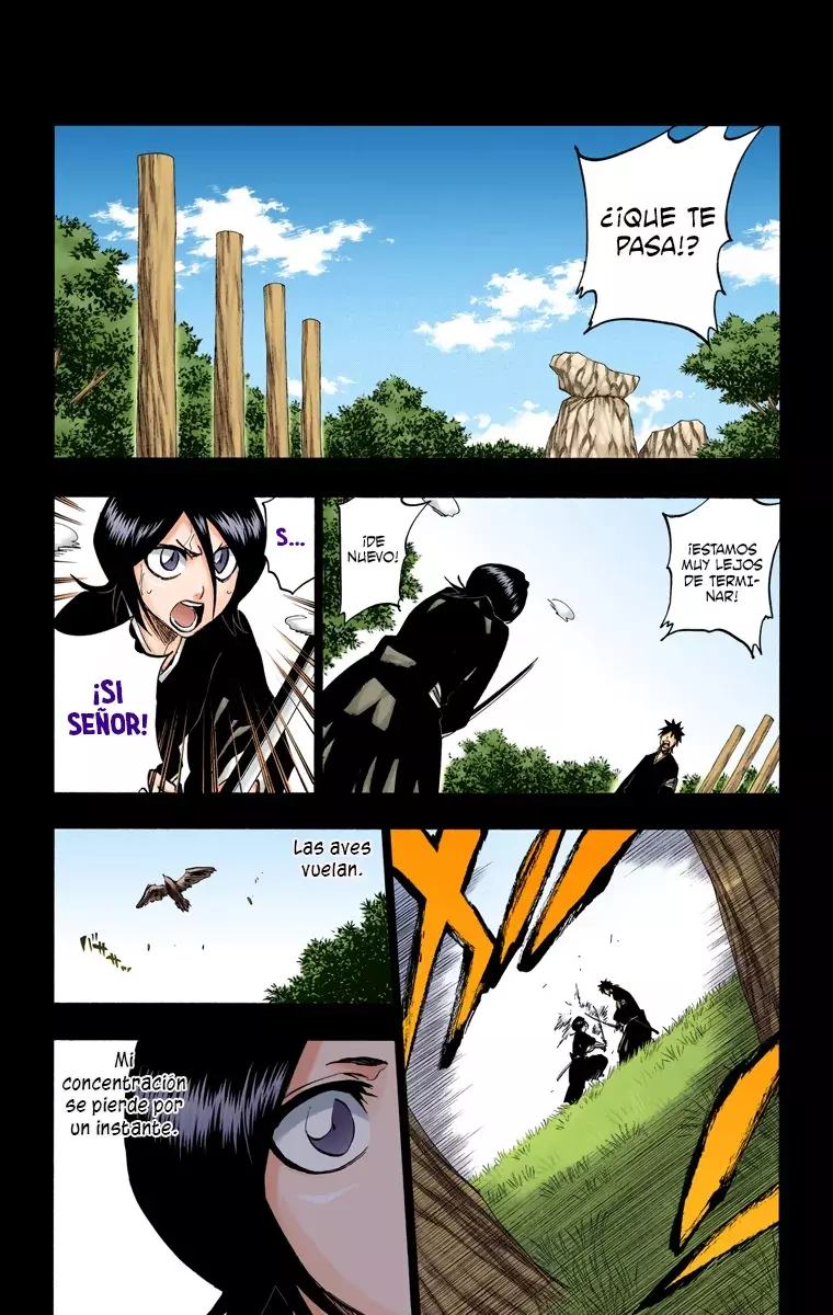 Read Bleach Full Color ES Manga Online