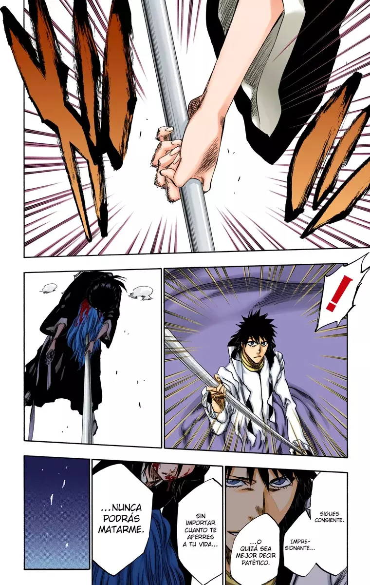 Read Bleach Full Color ES Manga Online
