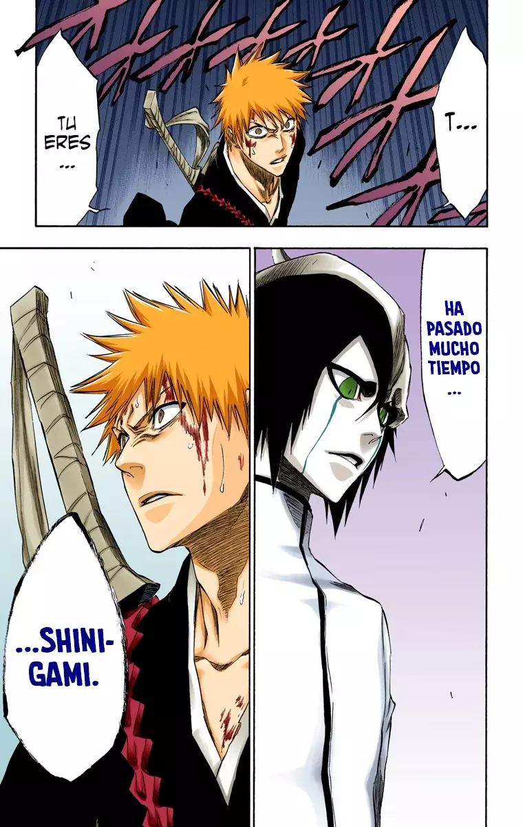 Read Bleach Full Color ES Manga Online