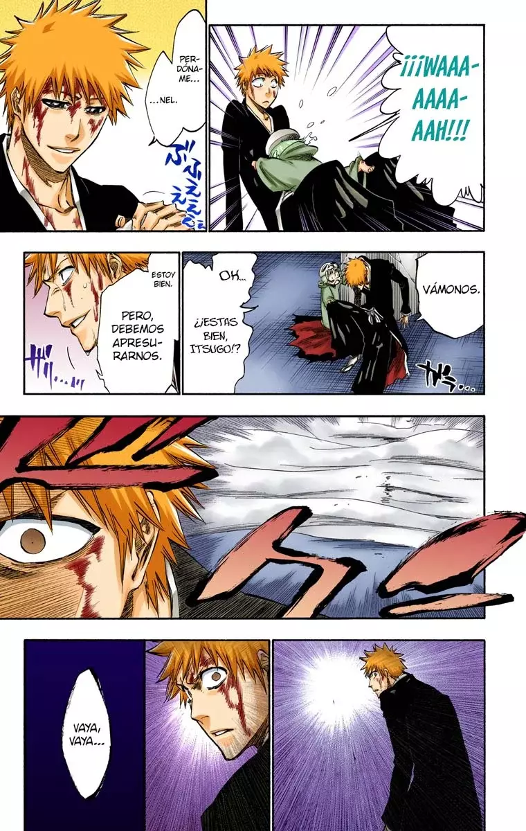 Read Bleach Full Color ES Manga Online