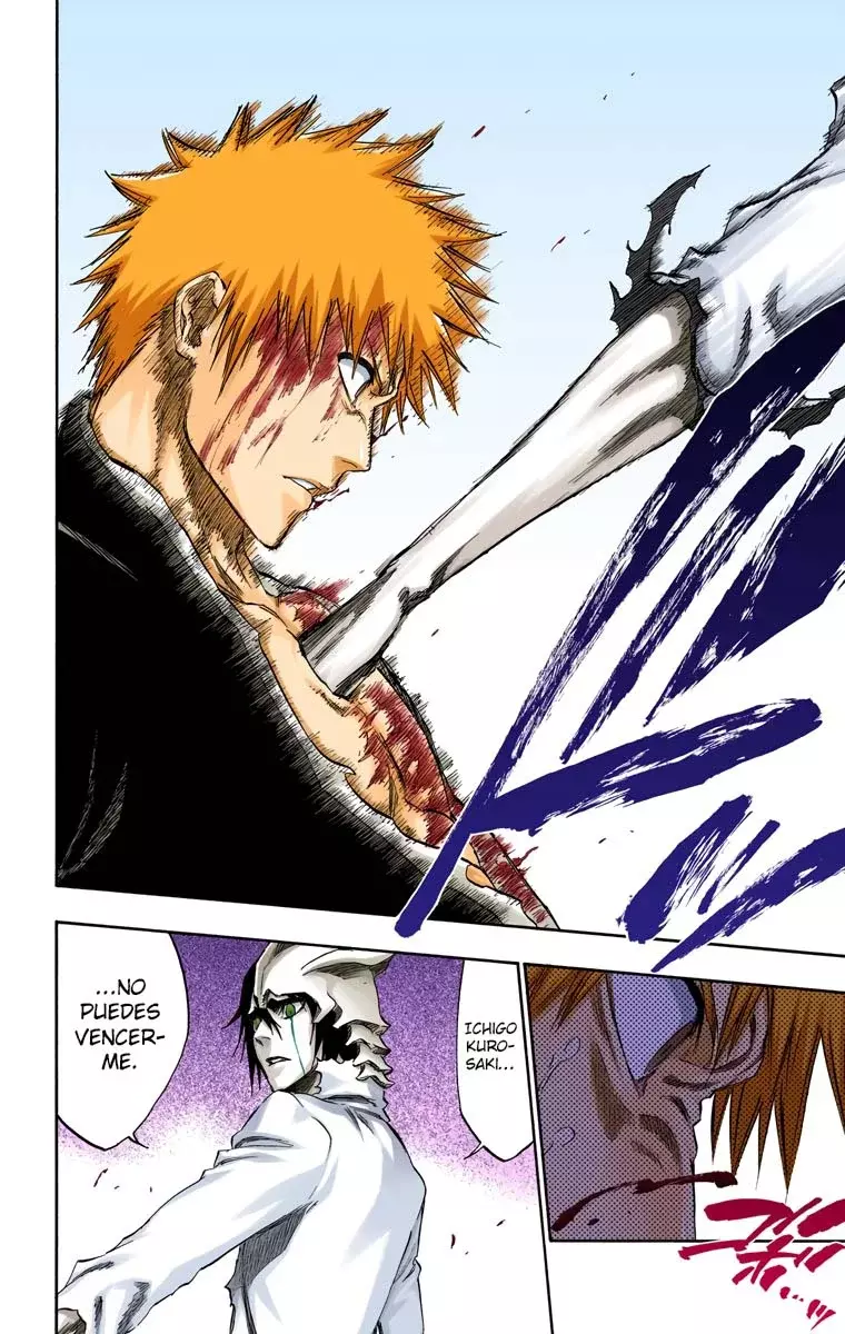 Read Bleach Full Color ES Manga Online