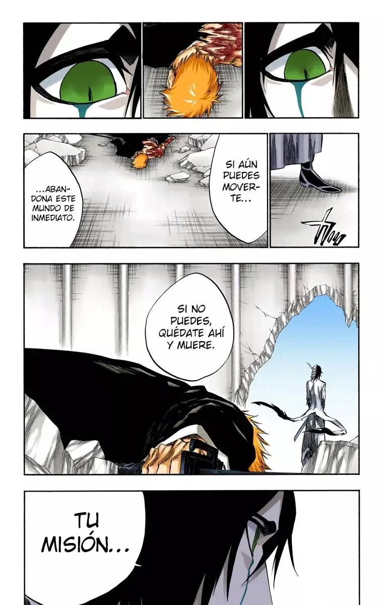 Read Bleach Full Color ES Manga Online