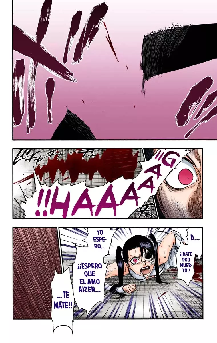 Read Bleach Full Color ES Manga Online