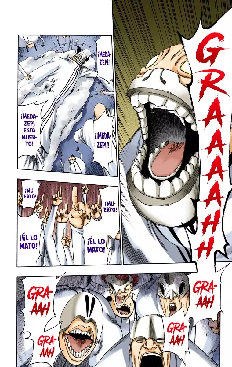 Read Bleach Full Color ES Manga Online