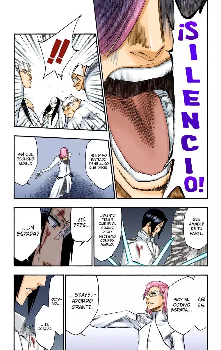 Read Bleach Full Color ES Manga Online