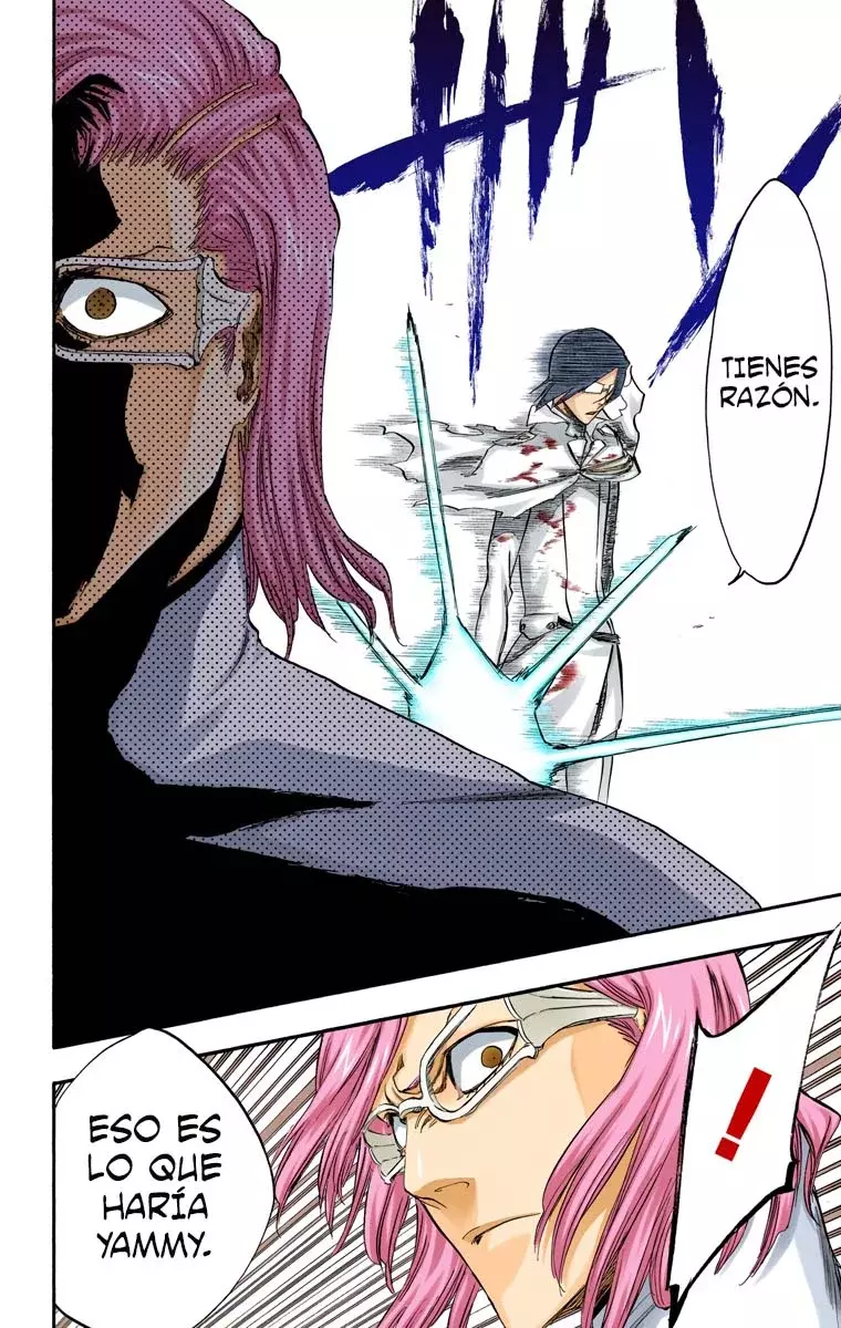 Read Bleach Full Color ES Manga Online