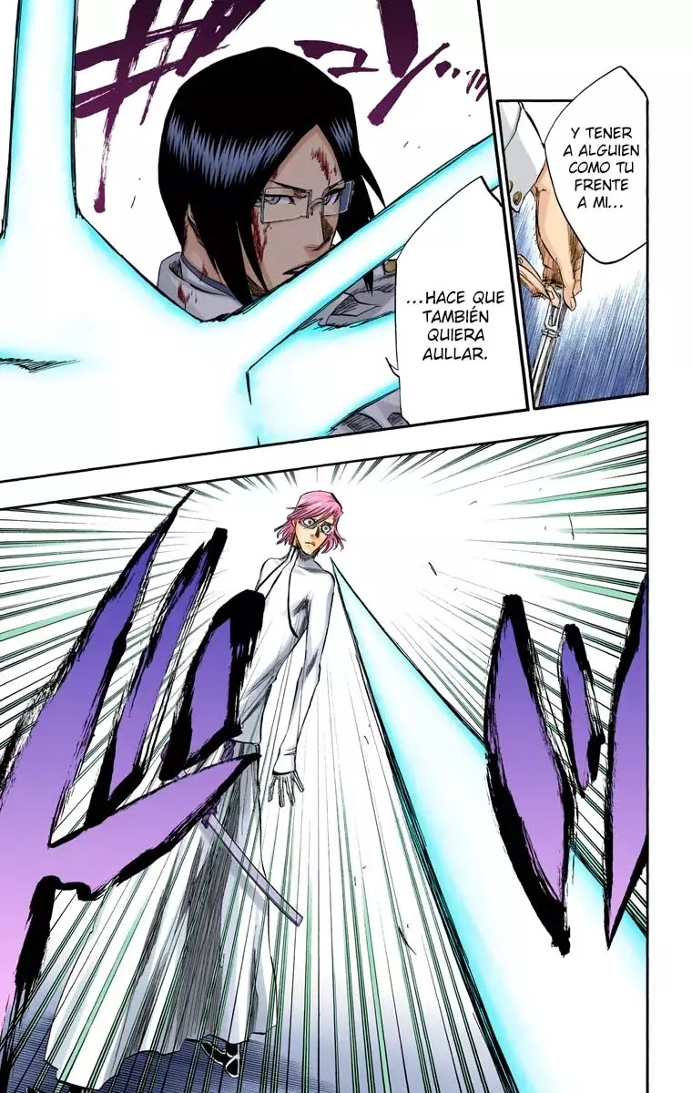 Read Bleach Full Color ES Manga Online