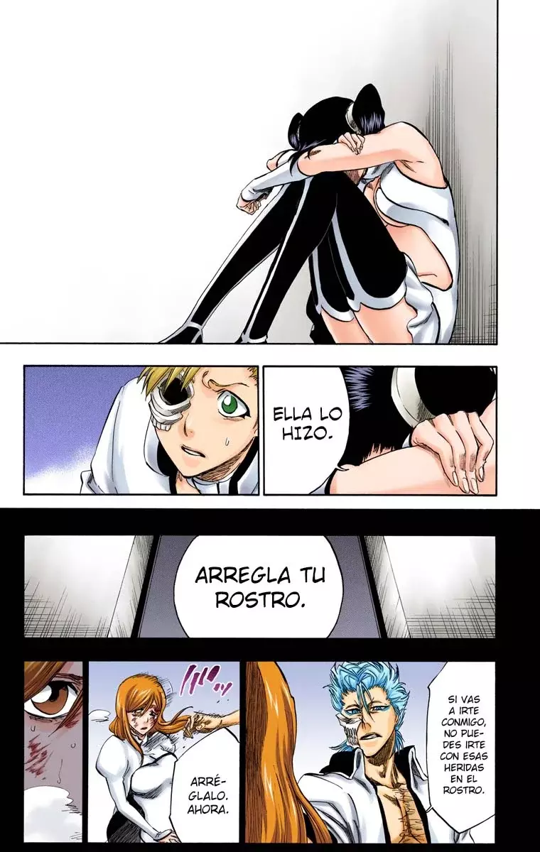 Read Bleach Full Color ES Manga Online