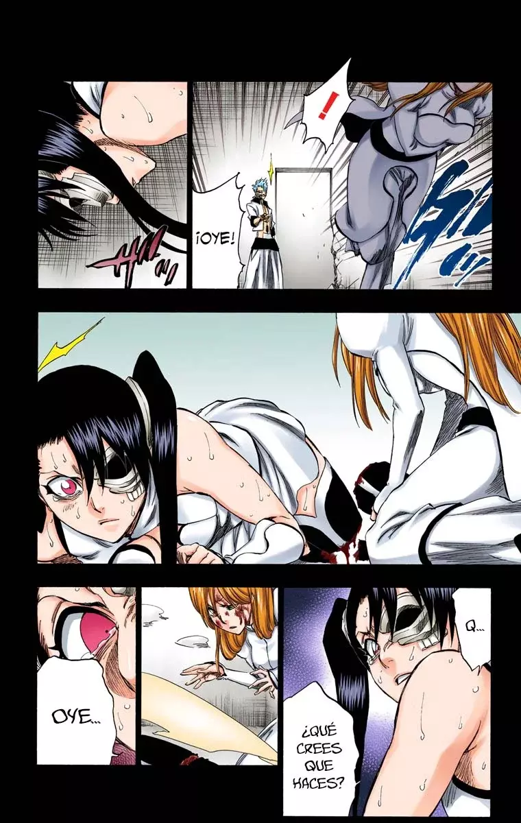Read Bleach Full Color ES Manga Online