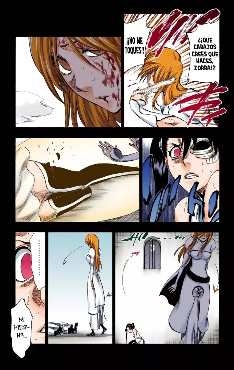 Read Bleach Full Color ES Manga Online