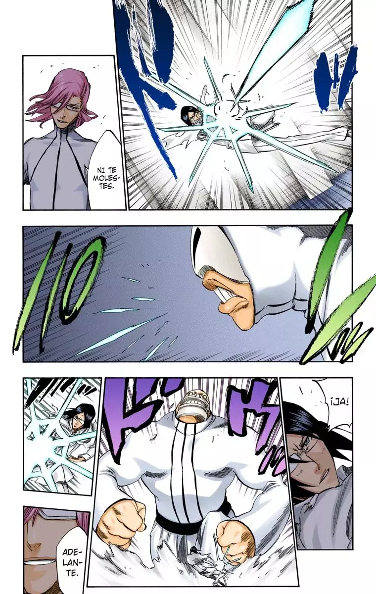 Read Bleach Full Color ES Manga Online