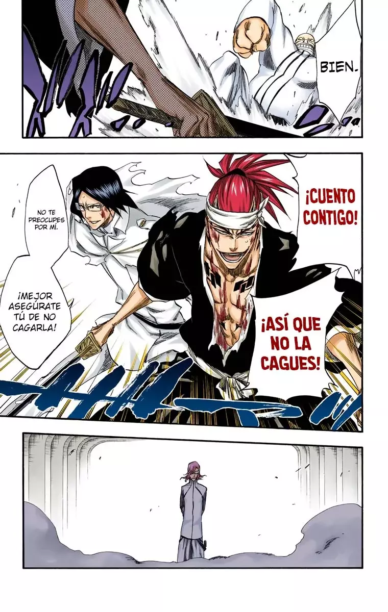 Read Bleach Full Color ES Manga Online