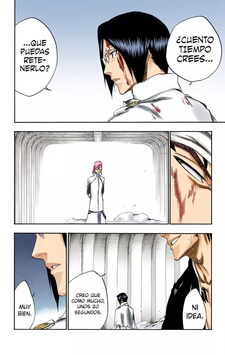 Read Bleach Full Color ES Manga Online