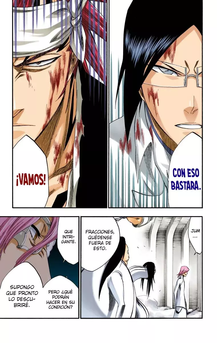 Read Bleach Full Color ES Manga Online
