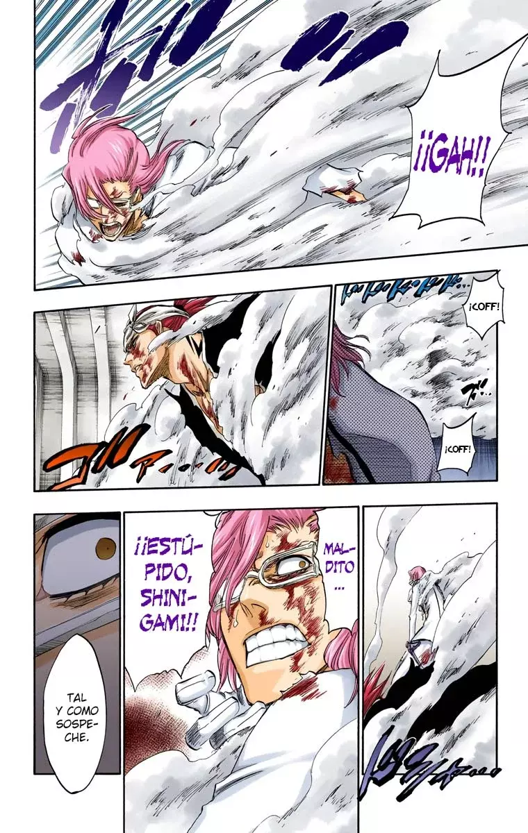 Read Bleach Full Color ES Manga Online