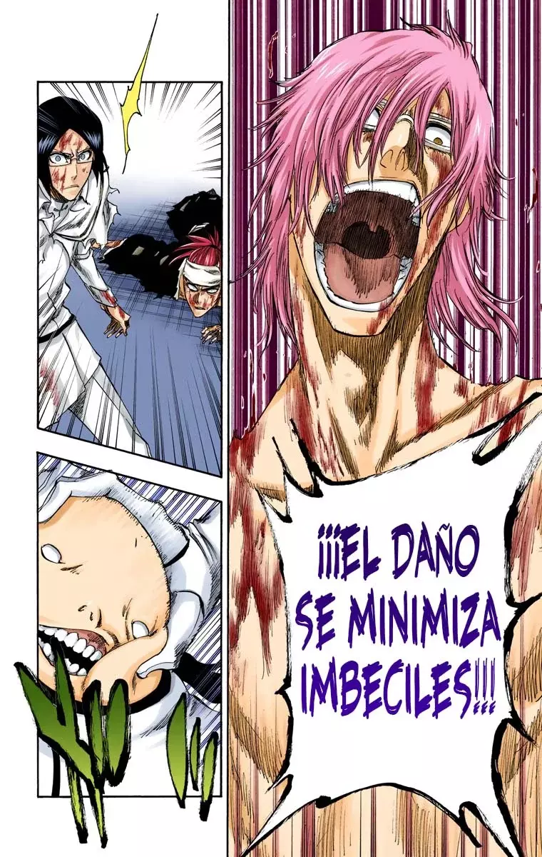 Read Bleach Full Color ES Manga Online