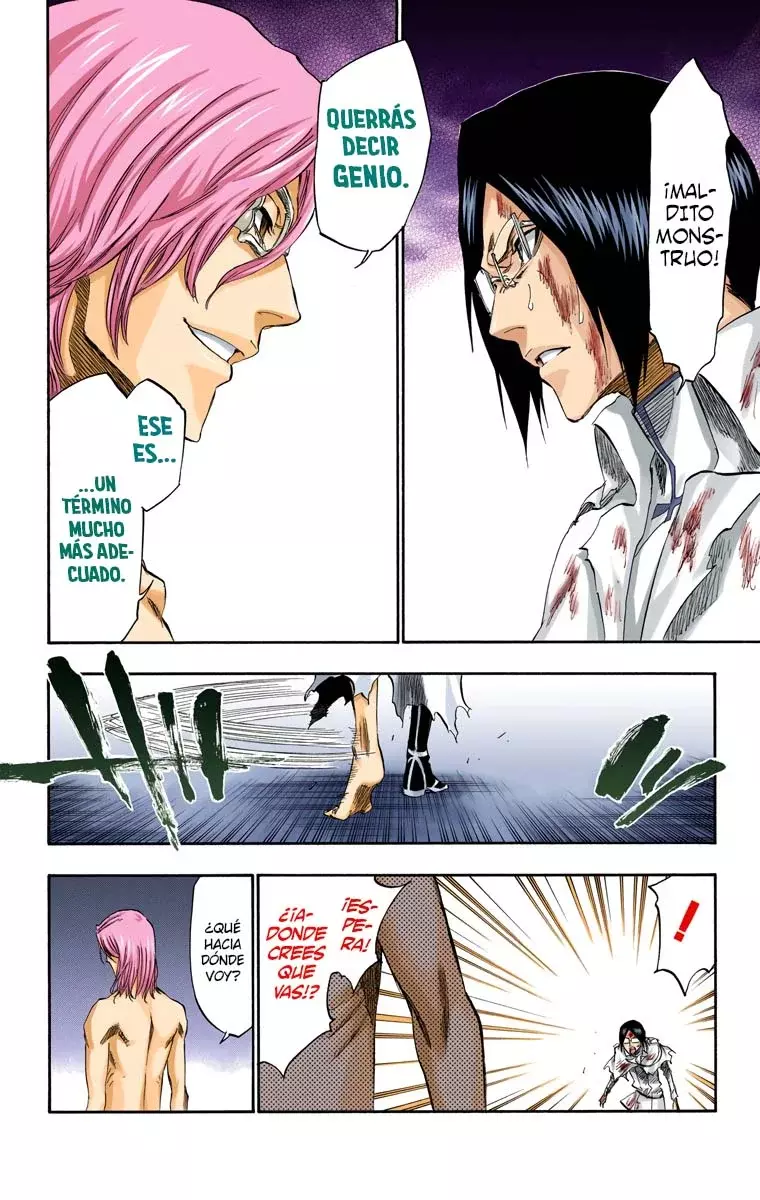 Read Bleach Full Color ES Manga Online