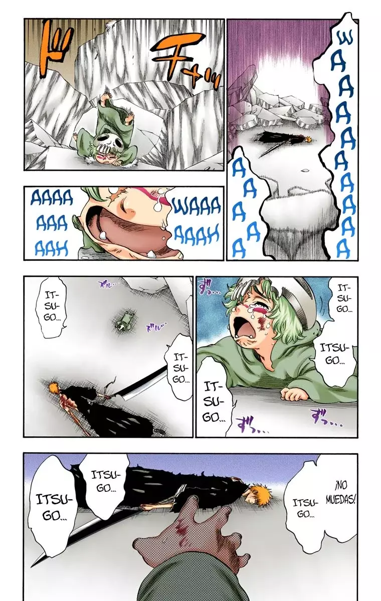 Read Bleach Full Color ES Manga Online
