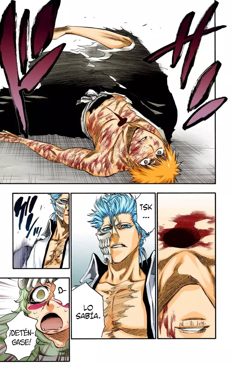 Read Bleach Full Color ES Manga Online