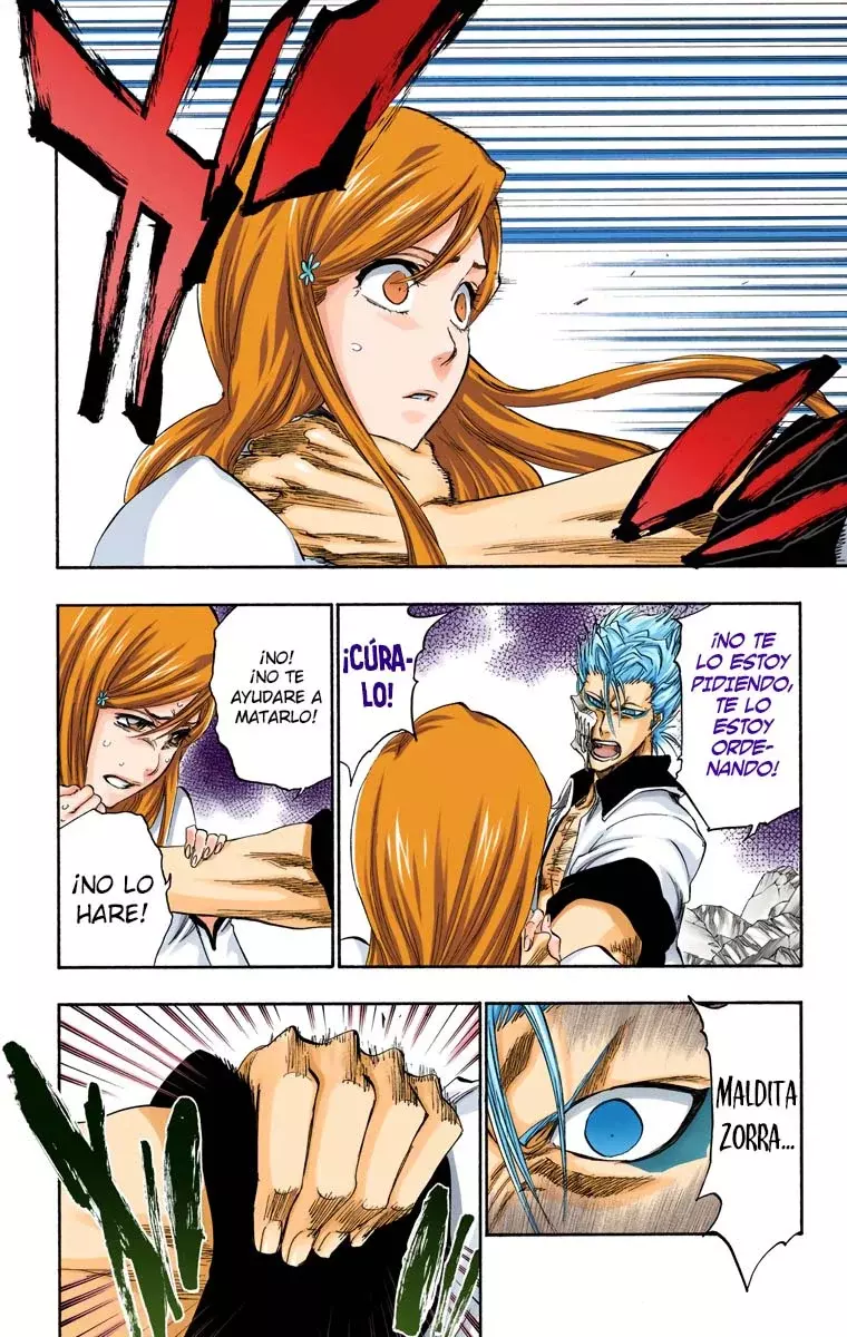 Read Bleach Full Color ES Manga Online
